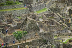 dsc_2135-small